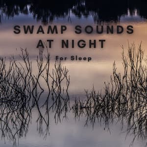 Swamp Sounds at Night for Sleep - Natural Sounds Selections