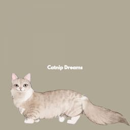 Catnip Dreams - Dinner Party Music