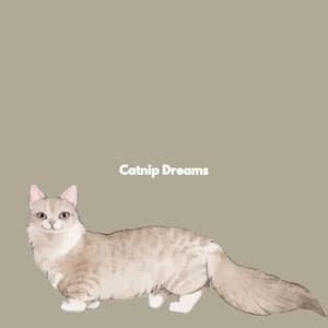 Catnip Dreams - Dinner Party Music
