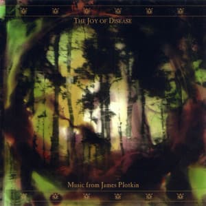 The Joy of Disease - James Plotkin