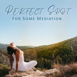 Perfect Spot For Some Mediation - Asia Ann Deep