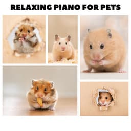 Music For Hamsters - Relaxing Piano For Pets