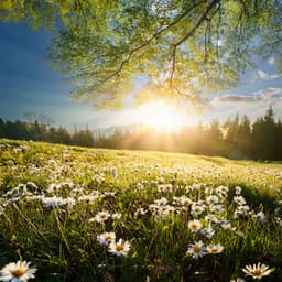 Music For The Flow Of Everyday Moments - The Relaxing Sounds of Swedish Nature