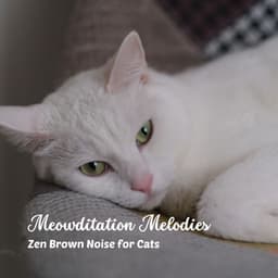 Meowditation Melodies: Zen Brown Noise for Cats - Noise Foundation
