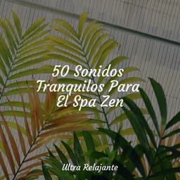 50 Sonidos Tranquilos Para El Spa Zen - Master Meditação