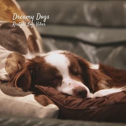 Dreamy Dogs: Restful Lofi Vibes - LoFi HipHop Guru