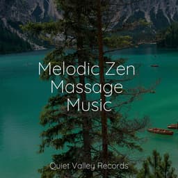 Melodic Zen Massage Music - Rainfall