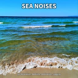 #1 Sea Noises for Relaxation, Bedtime, Meditation, Jogging - Ocean Waves