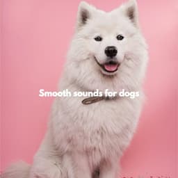 Smooth sounds for dogs - Musik Gitar Santai Orkestra
