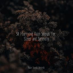 50 Flurrying Rain Sounds for Sleep and Serenity - MEDITATION SPA