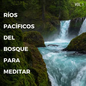 Ríos Pacíficos Del Bosque Para Meditar Vol. 1 - Rios y corrientes