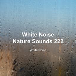 White Noise 222 - White Noise