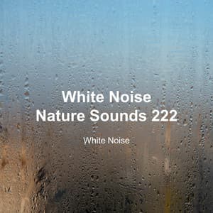 White Noise 222 - White Noise