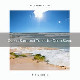 Ocean Surround Tunes for Deep Sleep - Música De Relajación Para Dormir Profundamente