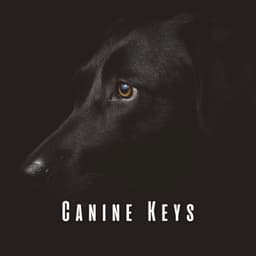 Canine Keys: Meditative Piano for Dogs - Worship Music Piano