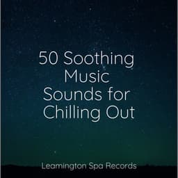 50 Soothing Music Sounds for Chilling Out - Binaural Creations