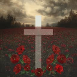 See The Light on Remembrance Day - Made in The USA