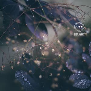 Microloops of Awareness - Deep Sleep Hypnosis Masters