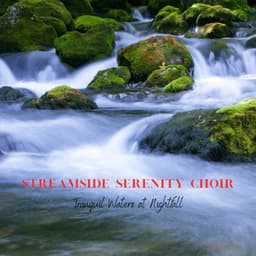 Streamside Serenity Choir: Tranquil Waters at Nightfall - Majestic Waters