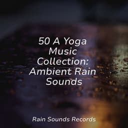 50 A Yoga Music Collection: Ambient Rain Sounds - Musica para Bebes