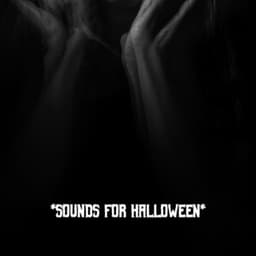 * Sounds For Halloween * - The Haunted House of Horror Sound Effects