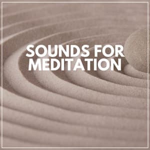Sounds for Meditation - Focusity