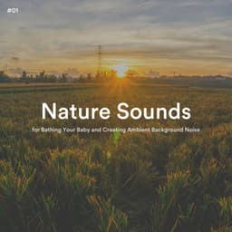 #01 Nature Sounds for Bathing Your Baby and Creating Ambient Background Noise - The Nature Soundscapes