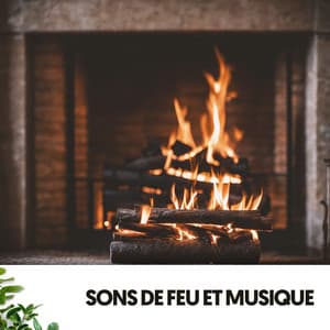Sons de Feu et Musique: Danse Lente dans le Feu - Relajacion