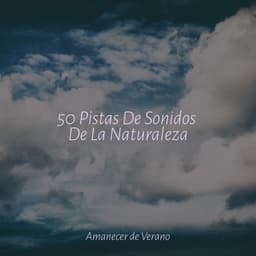 50 Pistas De Sonidos De La Naturaleza - Lullabies for Deep Meditation