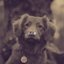 犬の朝 - Música Alegre para Bares