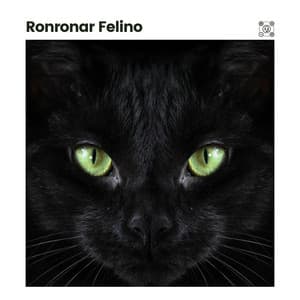 Ronronar Felino - Musica para Gatos