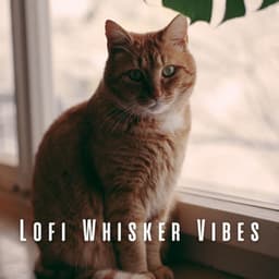 Lofi Whisker Vibes: Chill Melodies for Cat Lovers - Beards Are Better