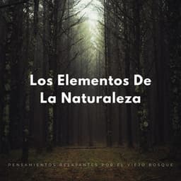 Los Elementos De La Naturaleza: Pensamientos Relajantes Por El Viejo Bosque - Sonidos Naturaleza