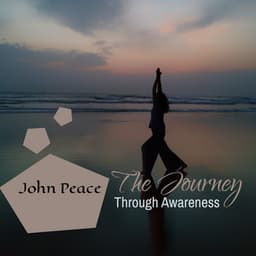 The Journey Through Awareness - John Peace