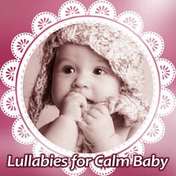 Lullabies for Calm Baby - Pablo Maisky