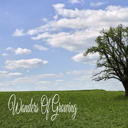 Wonders Of Growing - Calmar la Ansiedad