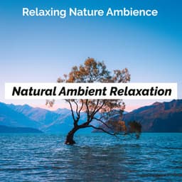 Natural Ambient Relaxation - Relaxing Nature Ambience