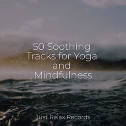 50 Soothing Tracks for Yoga and Mindfulness - Musica Romantica