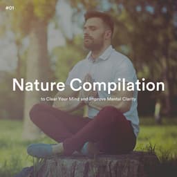 #01 Nature Compilation to Clear Your Mind and Improve Mental Clarity - Healing Guru