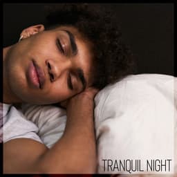 Tranquil Night – Music for Sleeping, Calmness, Time to Catch Breath - Sleep Cycles Music Collective