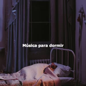 Música para dormir - Sleep Jazz
