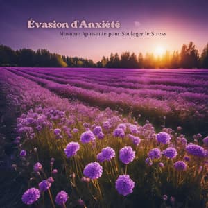 Évasion d'Anxiété: Musique Apaisante pour Soulager le Stress - Musique Zen Garden