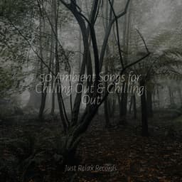 50 Ambient Songs for Chilling Out & Chilling Out - Baby Lullaby