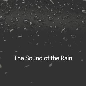 The Sound of the Rain - Forest Rain FX