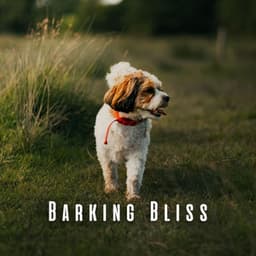 Barking Bliss: Dogs' Binaural Happiness - Solfeggio Frequencies 528Hz