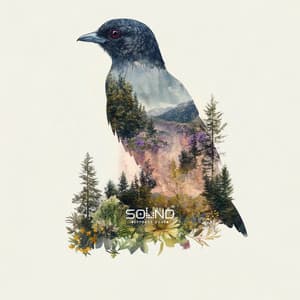 Feathered Conversations - Sound Effects Zone