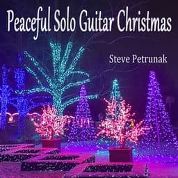 Peaceful Solo Guitar Christmas - Steve Petrunak