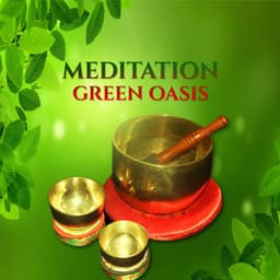 Meditation Green Oasis: Asian Music for Deep Meditation, Reiki, Morning Mantra, Breathing Exercises - Inseok Kang