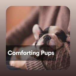 Comforting Pups - Dog Music Therapy