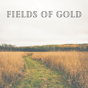Fields of Gold - Sample Rain Library